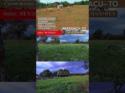 Terra extra em Araguaçu Tocantins