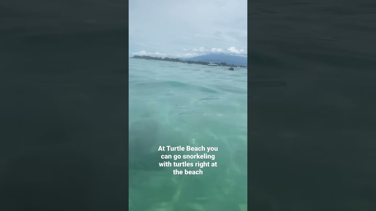 YouTube Short thumbnail