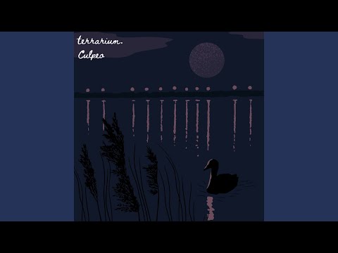Night Birds