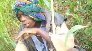 Download lagu Samvura aragakizepe 😂😂😂umuhunguwe gakwisi amufashe yibye ibijumba 🤣🤣🤣🤣🤣🤣🤣🤣🤣😂😂😂😆😆😁😁 mp3