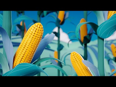 How We Make Bioproducts: Innovation in Sustainability | 3D Animation Explainer | Poet Energy