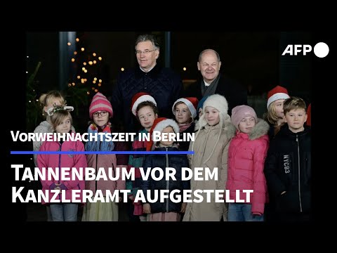 "Kanzlertanne": Kleiner Weihnachtsbaum für Olaf Scholz | AFP