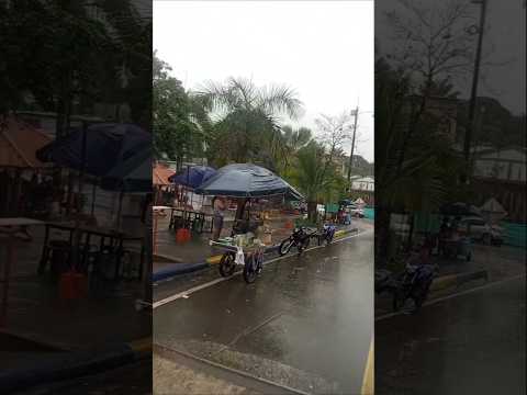 ruta curillo, florencia Caquetá 👌 primera parte ❤️ #parati #rutas #caqueta #viral