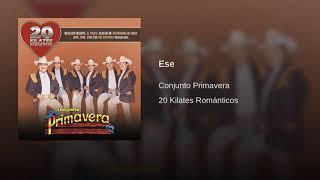 Conjunto primavera- ese