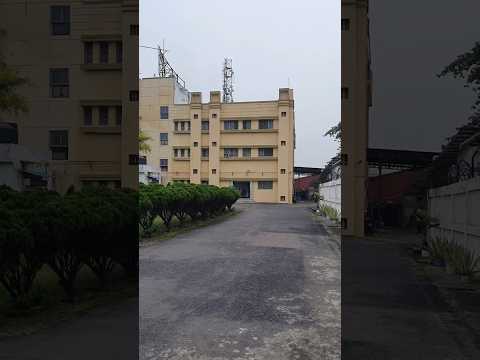 Ayusri Miswak Toothpaste