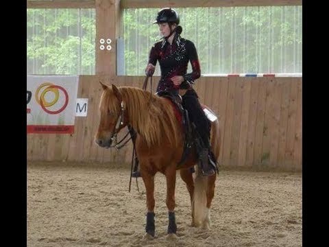 Larissa reitet Lucky ohne Kopfstück Freestyle Parelli Audition Level 3 erklärt