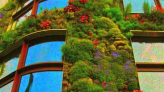 Harmonia and Eno | Weird Dream