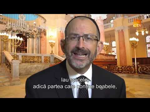 228. Love Israel - Matei Cap.12 (1)