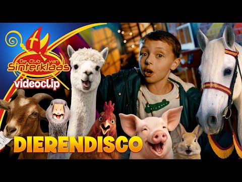 DIERENDISCO - JURRE (2025) • VIDEOCLIP uit  🎞 De Club van Sinterklaas film: Een Dolle Beestenboel🦙🐷🐴
