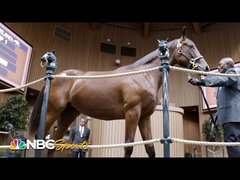 , title : 'Born to Run: American Pharoah's offspring go to auction, begin training | PART 2 | NBC Sports'