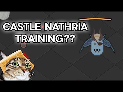 Raiding in World of Warcraft but it's a flash game