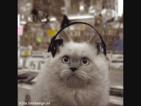 TheCubeDj -No Stress vs Illusion (Cutted version)