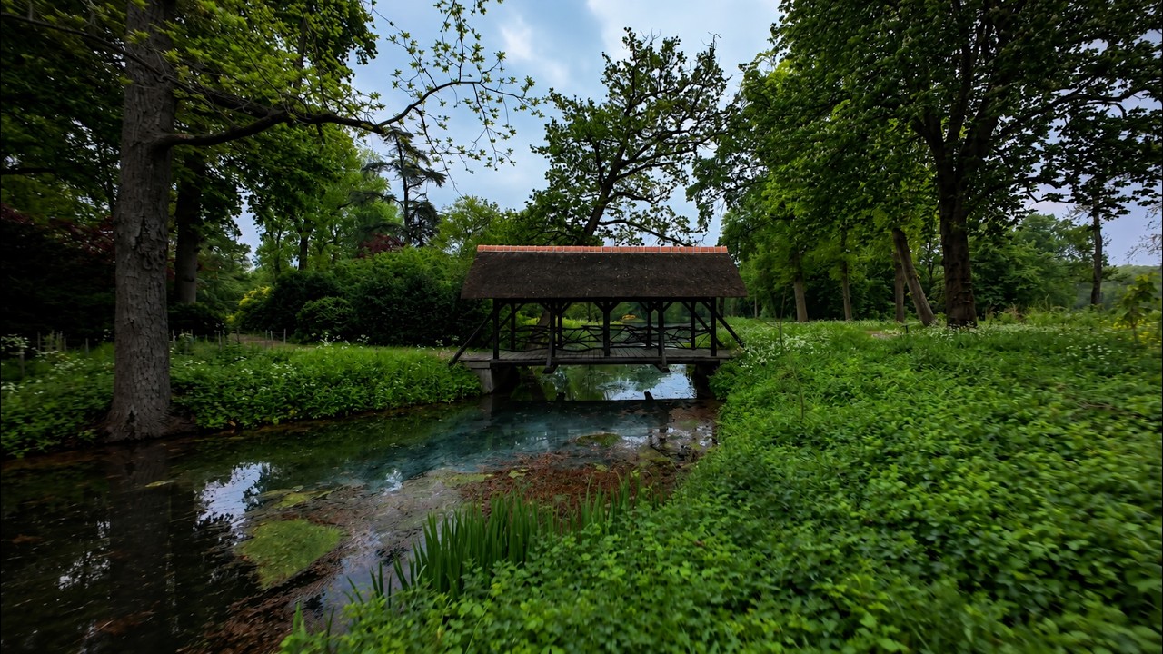 Droomvlucht onder de brug door