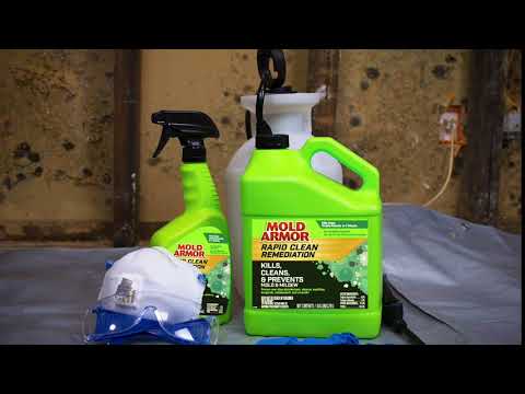 MOLD ARMOR Rapid Clean Remediation
