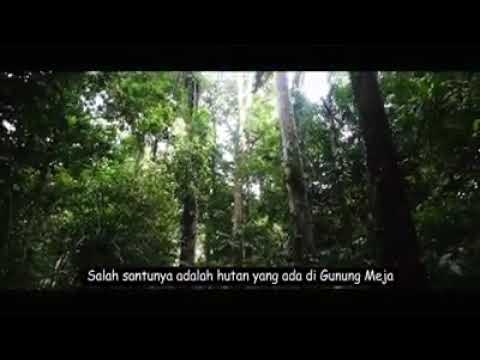 Hutan lindung gunung meja Manokwari Papua Barat