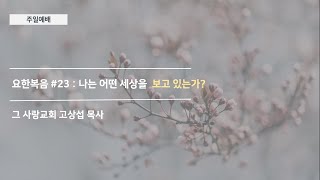 [주일예배] 요한복음 #23 : 나는 어떤 세상을  보고 있는가?