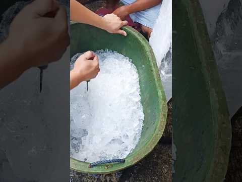 gigil c kuya mag crack😅#yutubeshorts #viral #ice #satisfying