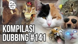 Download lagu BARUAK TAMVAN - KOMPILASI DUBBING #141 mp3