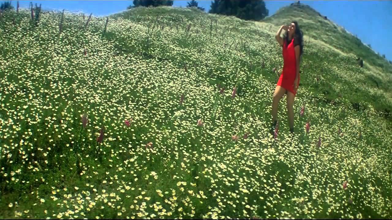 Aur Hum Tum Lyrics  | Wajood | Nana Patekar, Madhuri Dixit | Alka Yagnik, Kumar Sanu | Anu Malik