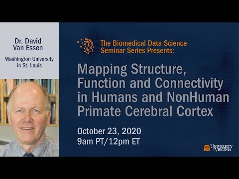 Mapping Structure, Function and Connectivity in Humans and NonHuman Primate Cerebral Cortex
