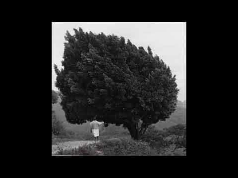 holly horror - life would sort of change