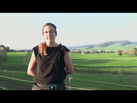 Kommune Schafhof - für eine bessere Welt