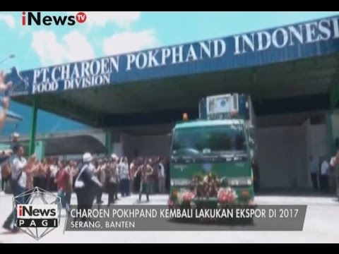 Palu Thor untuk membeli di toko obat Dnepropetrovsk Jika seorang gadis terangsang orang merasakannya