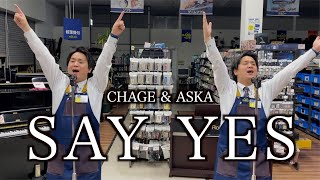 ハードオフ店員がジャンク品でCHAGE &amp; ASKAのSAY YESを演奏