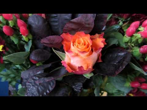 Opwekking 250 Hosanna Zoon van David