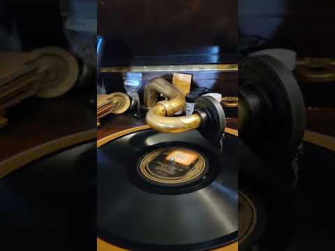 I Wish I Had My Old Gal Back Again - (Al Jolson) Carl Fenton's Orch Brunswick Records #3183 1926