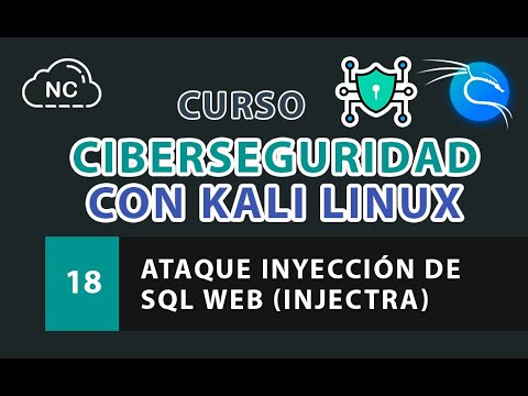 Curso de Ciberseguridad con Kali Linux Análisis de Endpoints de API