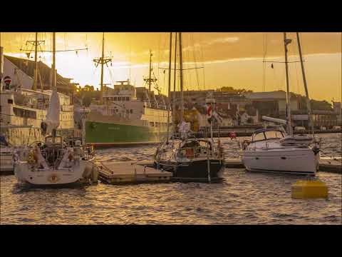 Dimitri Vegas, Steve Aoki & Chapter & Verse - Friends (Extended Mix)