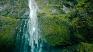 Carbon Based Lifeforms - Photosynthesis