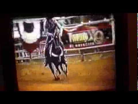 KC Smokin Joe (futurity year) 2001 leading the youth world