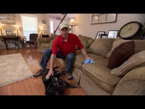 How to Clean Pet Hair Off Furniture | Today's Homeowner with Danny Lipford