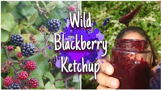 Turn Blackberry's Into Ketchup!