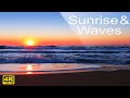 4k Sunrise on the Beach - Relaxing Ocean Waves Sounds and Seagulls - No Music