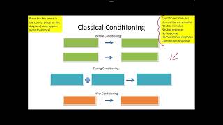 Learning Theory - Behaviourism