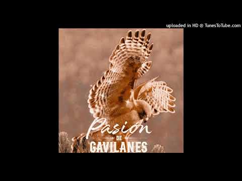 Ángela María Forrero - Fiera Inquieta (¿Quién Es Ese Hombre?) [HQ Audio]