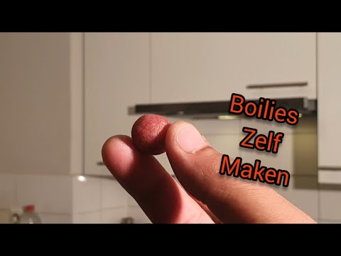 hoe kan ik boilies zelfmaken in 15 minuten???