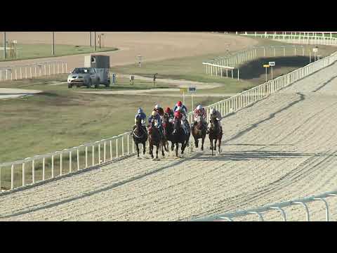 2019.11.24. 04. futam - NYERETLEN KÉTÉVESEK VERSENYE (IV.kat.) II. rész (szintetikus pálya)