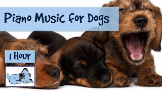 Relaxing Piano Music for Dogs, Calm Your Dog with Soft Soundscapes and Piano Music, Prevent Anxiety