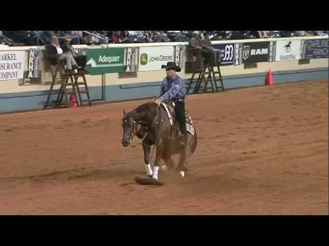 Million Dollar Sire - Smart Spook