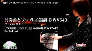 Download lagu hatako「前奏曲とフーガ イ短調 BWV543(バッハ＝リスト)」　アルカスホール　スタインウェイPrelude und Fuge a-moll BWV543  Bach–Liszt mp3