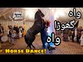 Amazing Horse Dance with Dhool in Pakistan || Mehndi Function in Islamabad