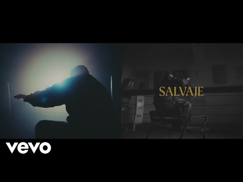 Salvaje