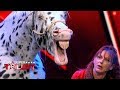 Sensationelle Pferdedressur Begeistert Die Jury Das Supertalent 2019 Sendung Vom 14 09 2019