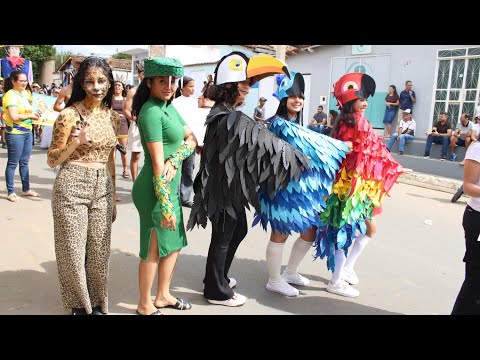 #Desfile #de 7 #setembro de# 2026 em# Ninheira MG 
