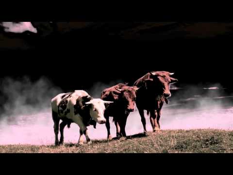 RASA SERRA - Palšus ganiau jautelius [Acappella] [ Lithuanian Folklore ] [ www.rasaserra.com ]