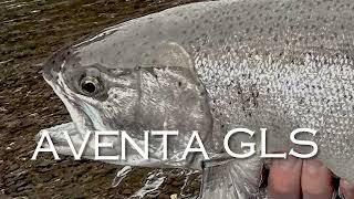 Video thumbnail 1